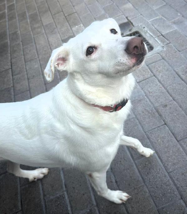 GENNA CERCA FAMIGLIA Foto 4